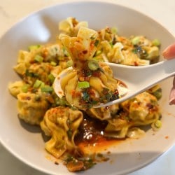 Easy Chili Oil Pork Wontons - Foodieholly