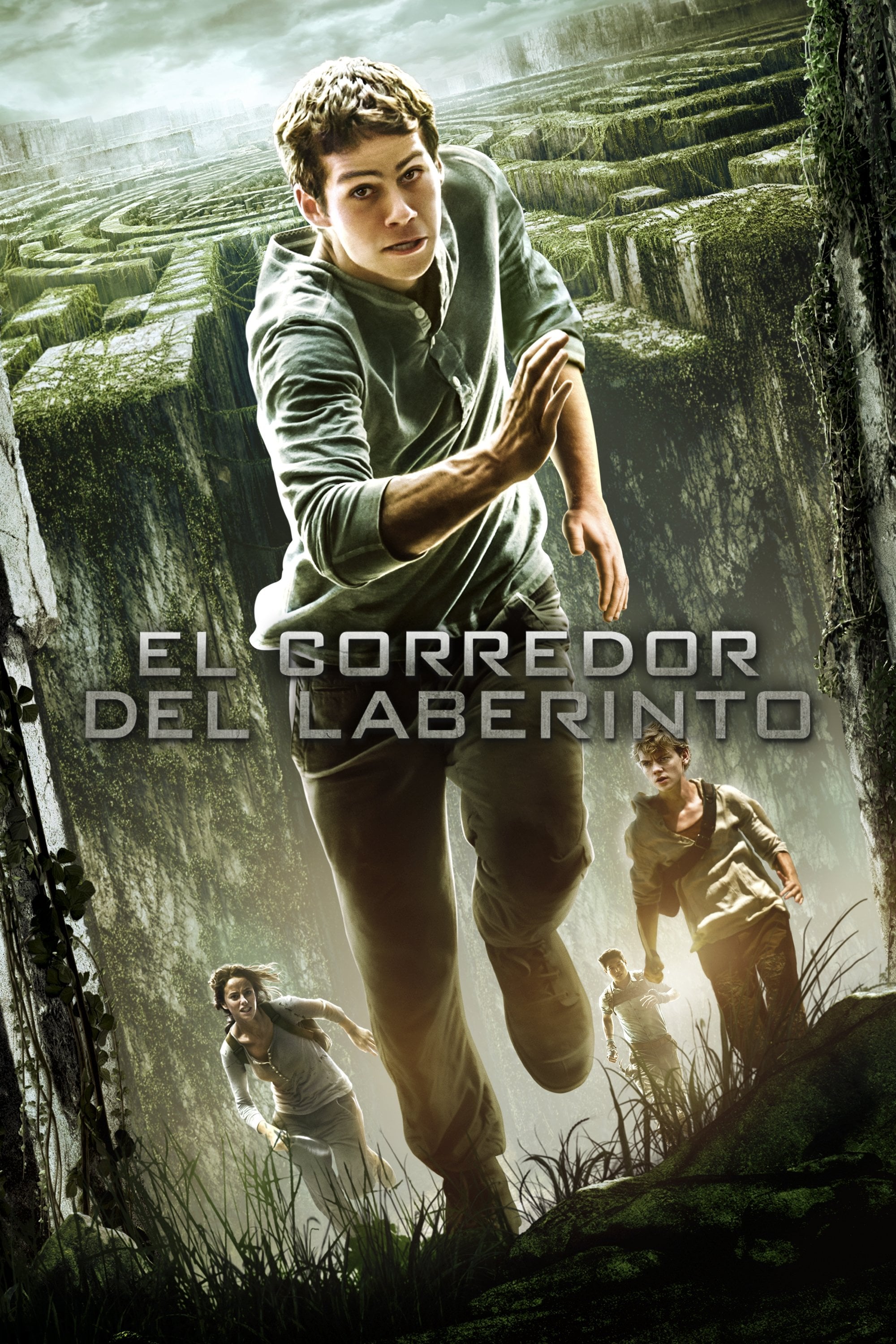 The Maze Runner - Wes Ball · 2014