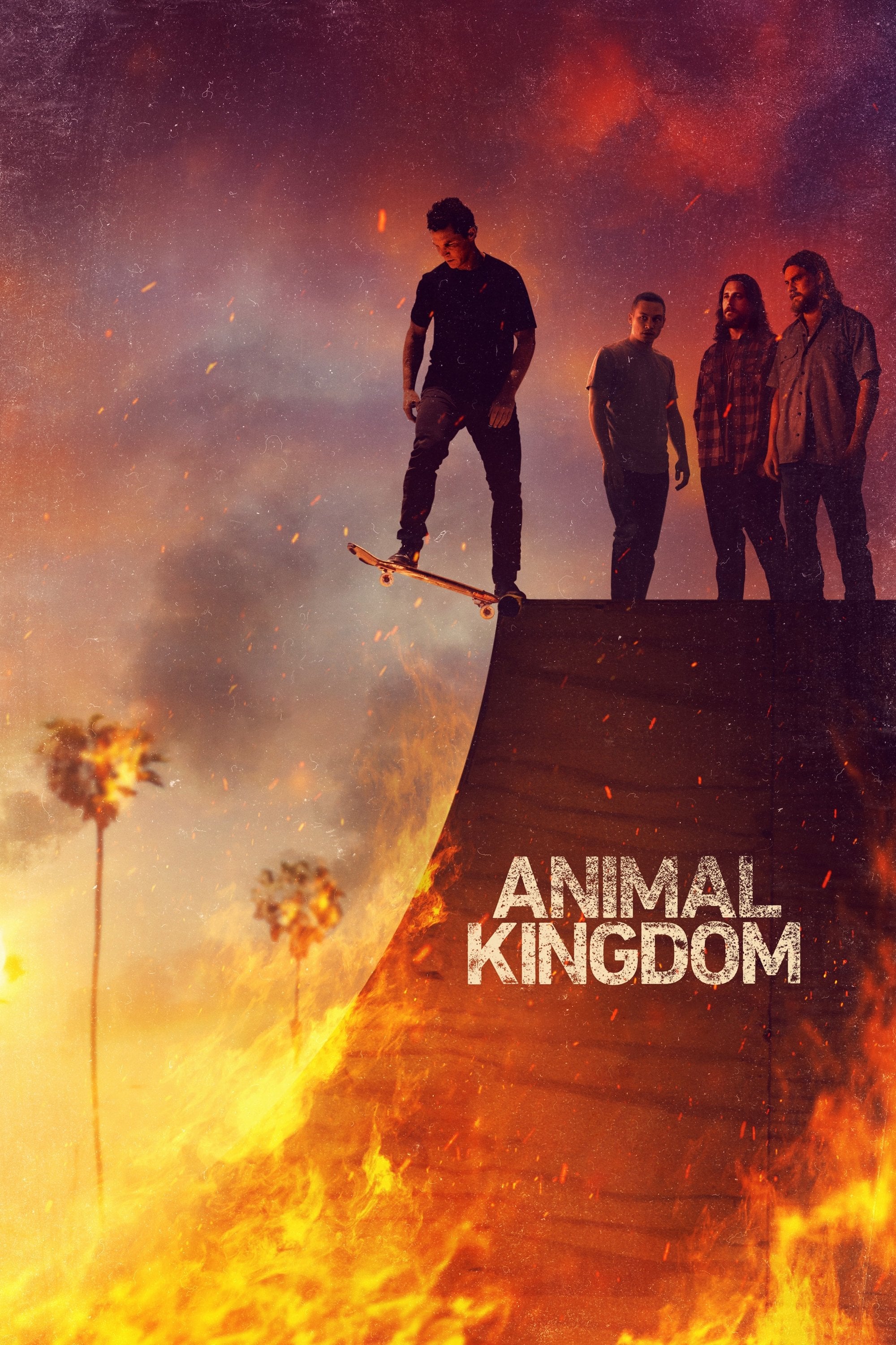 Animal Kingdom - Jonathan Lisco · 2016