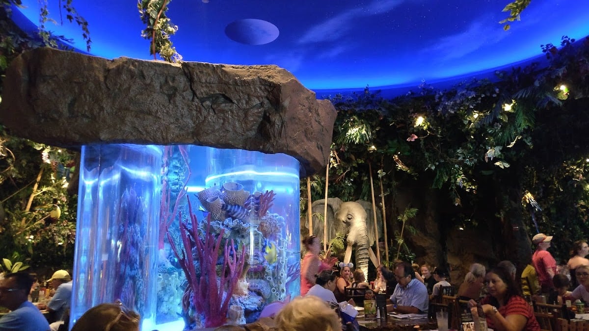 Rainforest Cafe - Disney Animal Kingdom