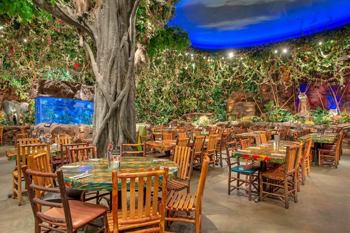Rainforest Cafe - Animal Kingdom