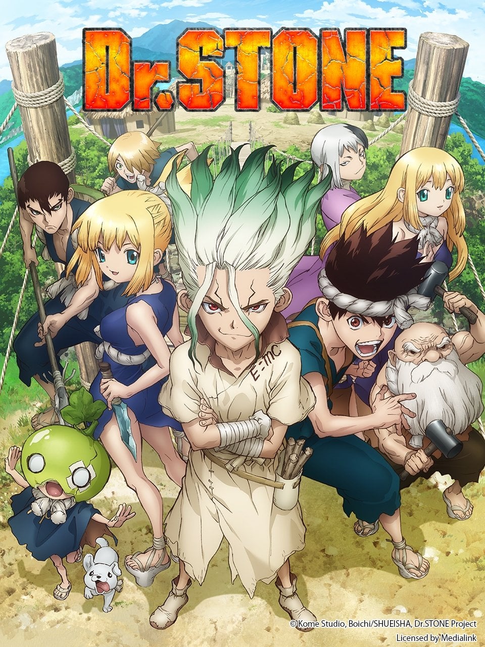 Dr. Stone - 2019