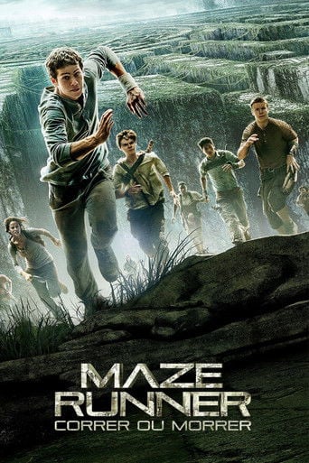 Maze Runner: Correr ou Morrer - Wes Ball · 2014