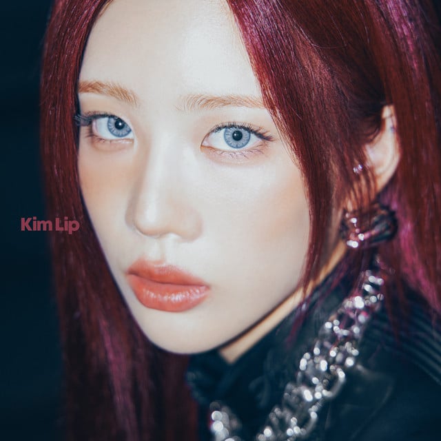 Can You Entertain? - Song · Kim Lip
