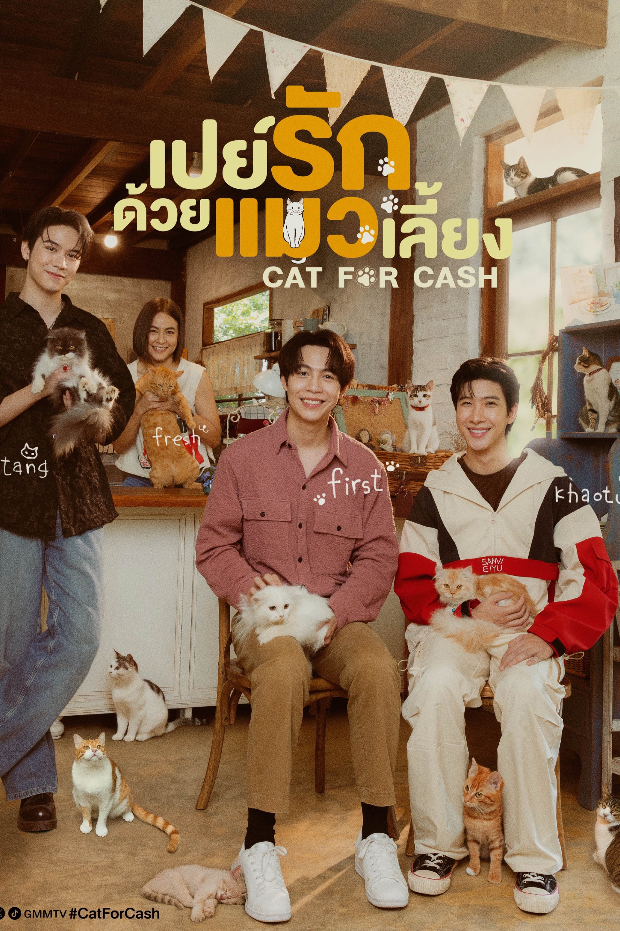 cat for cash - 2026