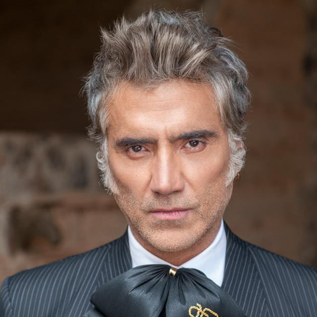 Alejandro Fernández - Artist