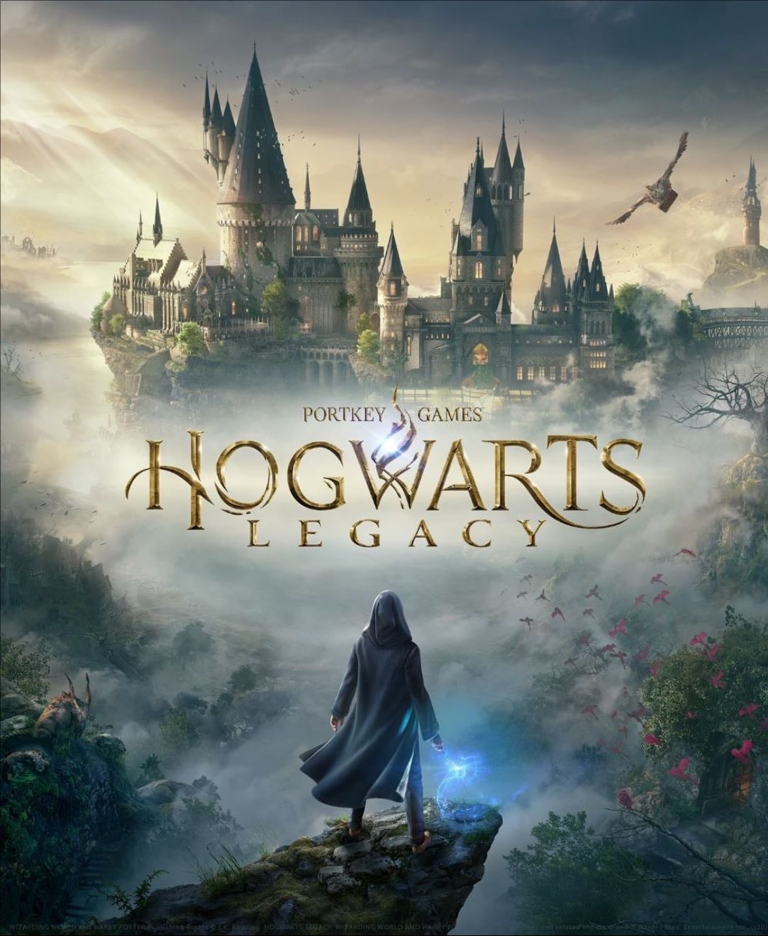 Hogwarts Legacy - Nintendo Switch · Nintendo Switch 2 · PC (Microsoft Windows) · PlayStation 4 · PlayStation 5 · Xbox One · Xbox Series X|S