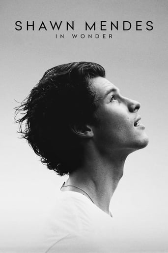 Shawn Mendes: In Wonder - Grant Singer · 2020
