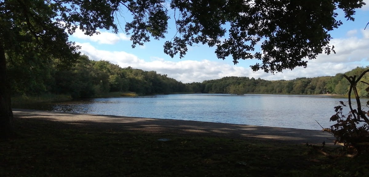 Bracebridge