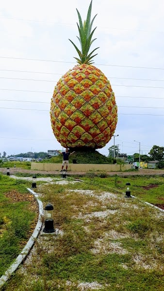 Monumento a la Piña - Tourist Attraction · Tania, Milagro