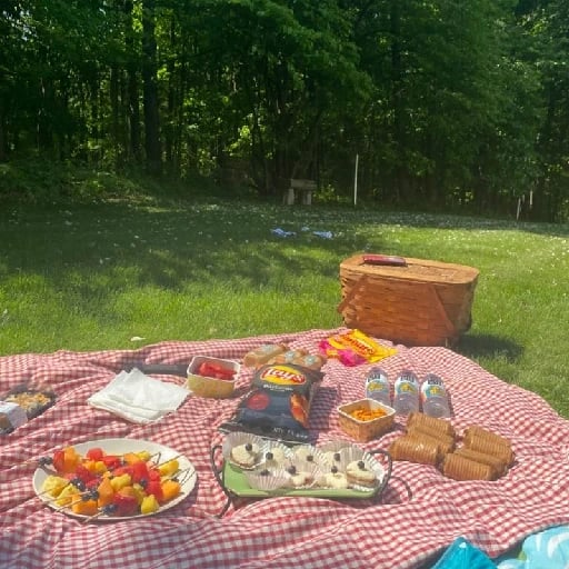 Go on a picnic