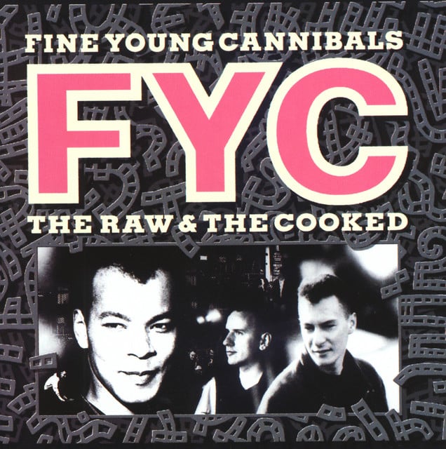 She Drives Me Crazy - Song 路 Fine Young Cannibals