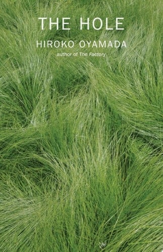 The Hole - Hiroko Oyamada · 2020