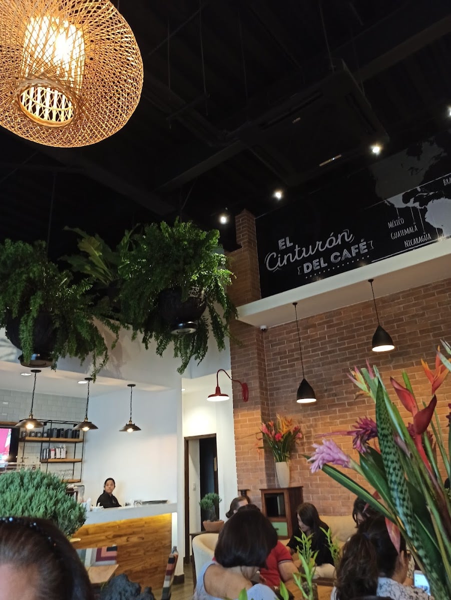 Molino Coffee Shop - Galerias Sto. Domingo