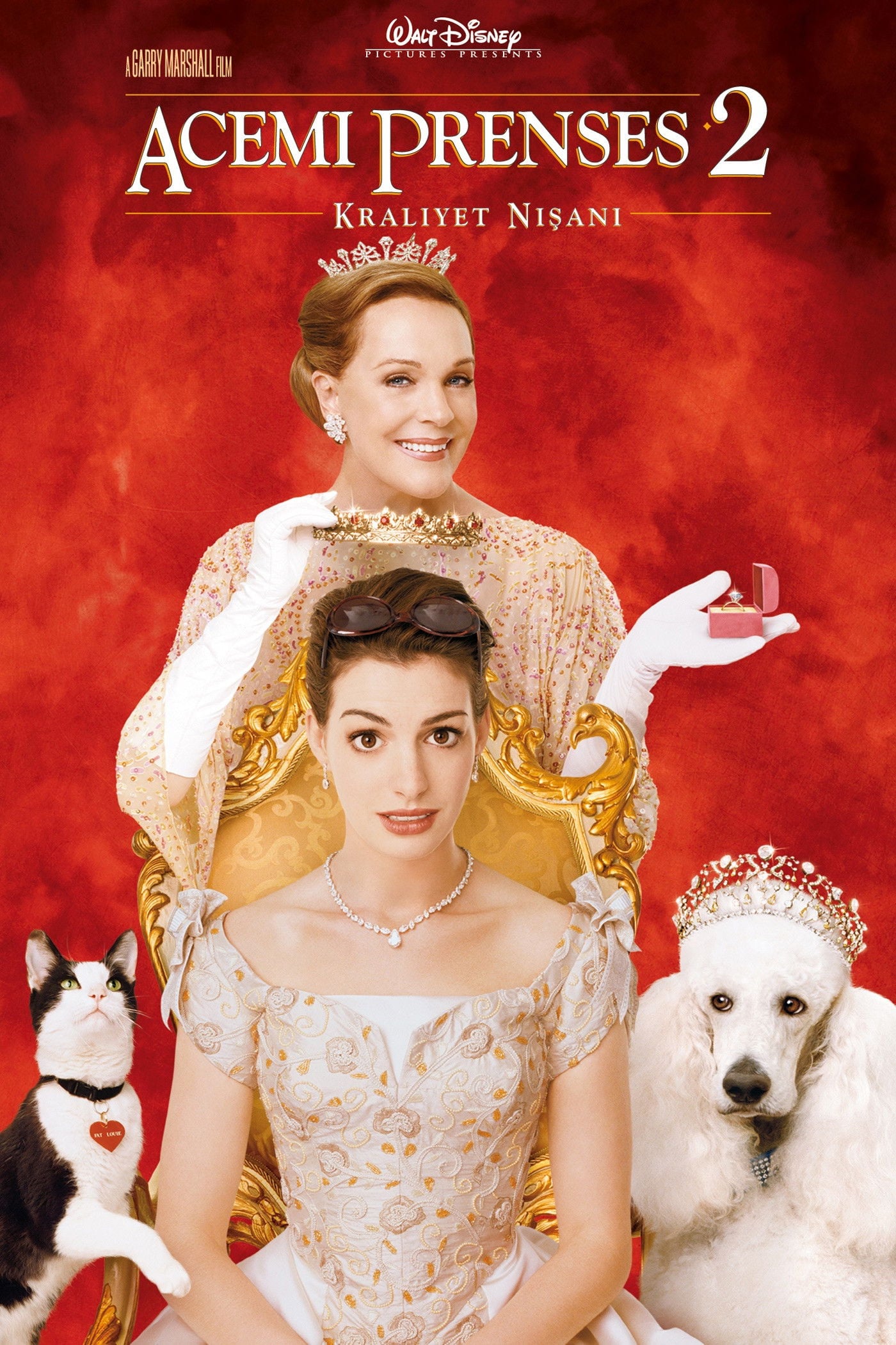 Un mariage de princesse - Garry Marshall · 2004