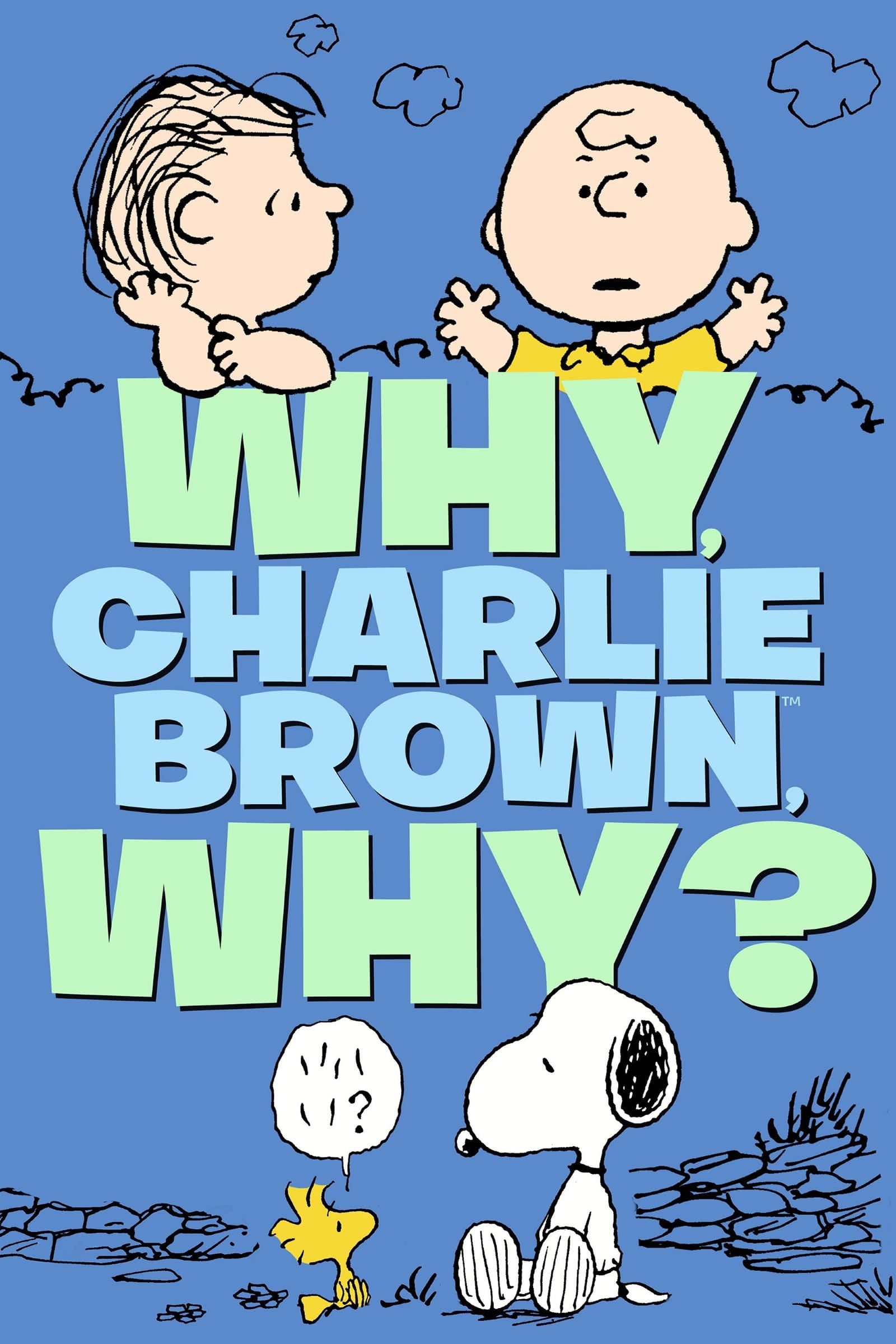 Why, Charlie Brown, Why? - Sam Jaimes · 1990