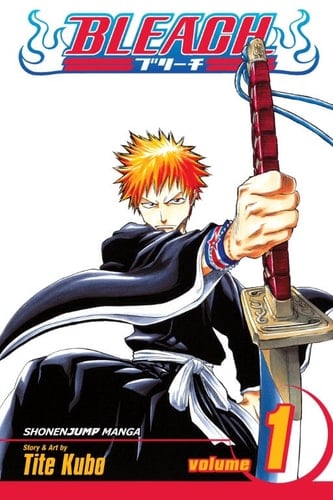Bleach, Vol. 1 - Tite Kubo · 2004