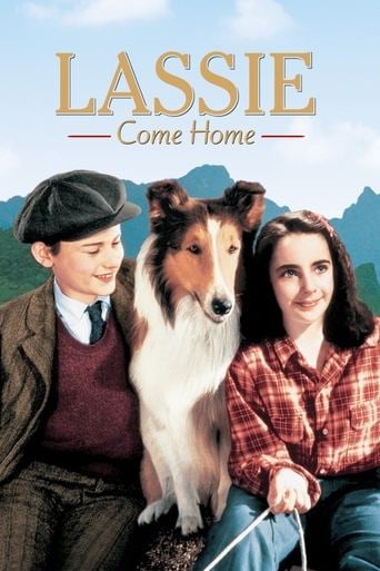 Lassie Come Home - Fred M. Wilcox · 1943