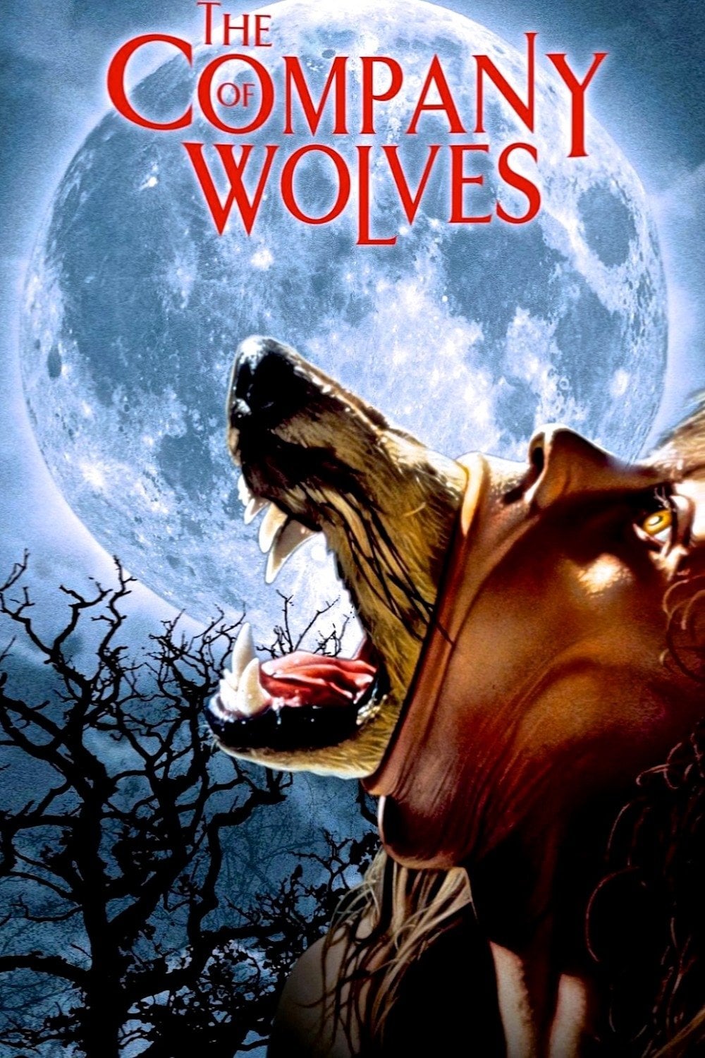 The Company of Wolves - Neil Jordan · 1984