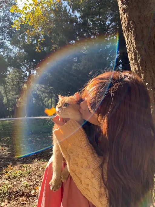 Cariño a tu gatito
