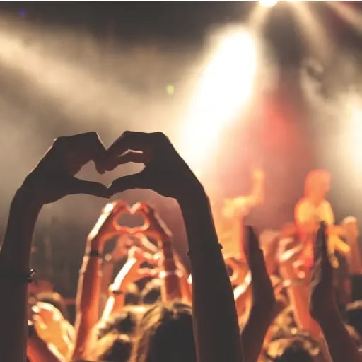 Go to a concert of someone I like - Ir a algún concierto de alguien que sea muy fan.