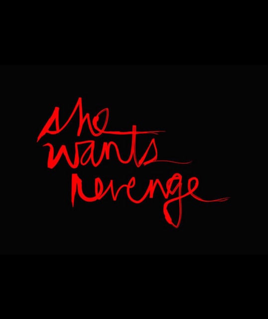 She Wants Revenge - Artist