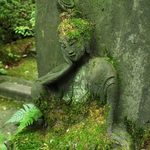 meditar