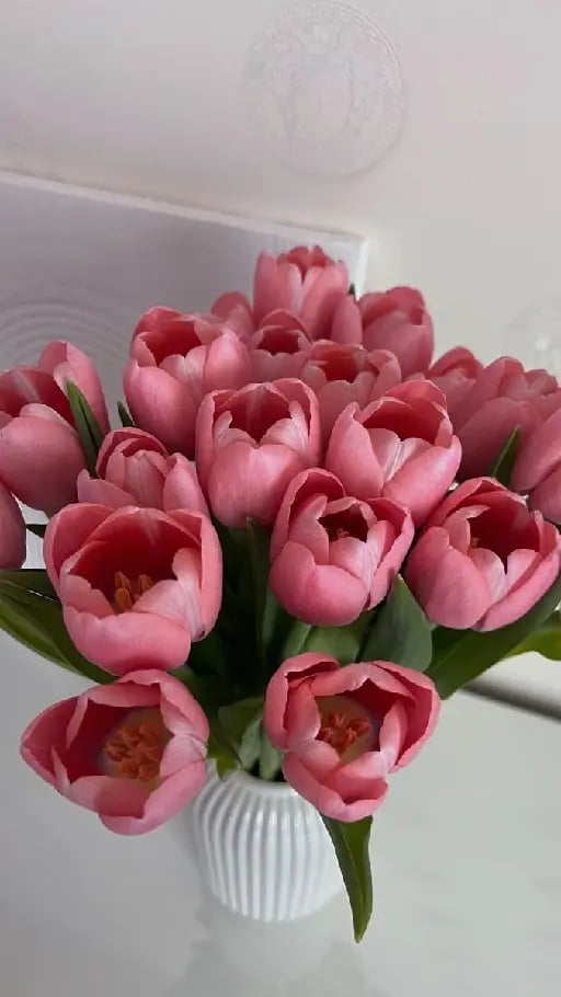 Tulipanes - Rojo: amor verdadero. Amarillo: miedo de perder a la persona amada, alegría y amistad. Blanco: admiración y nuevos comienzos. Rosa: enamoramiento y admiración ante la belleza. Morado: orgullo y éxito. Naranja: entusiasmo y pasión.