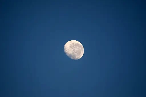 "No es lo que el mundo tiene para ti, es lo que tú le aportas". - Anne with an E