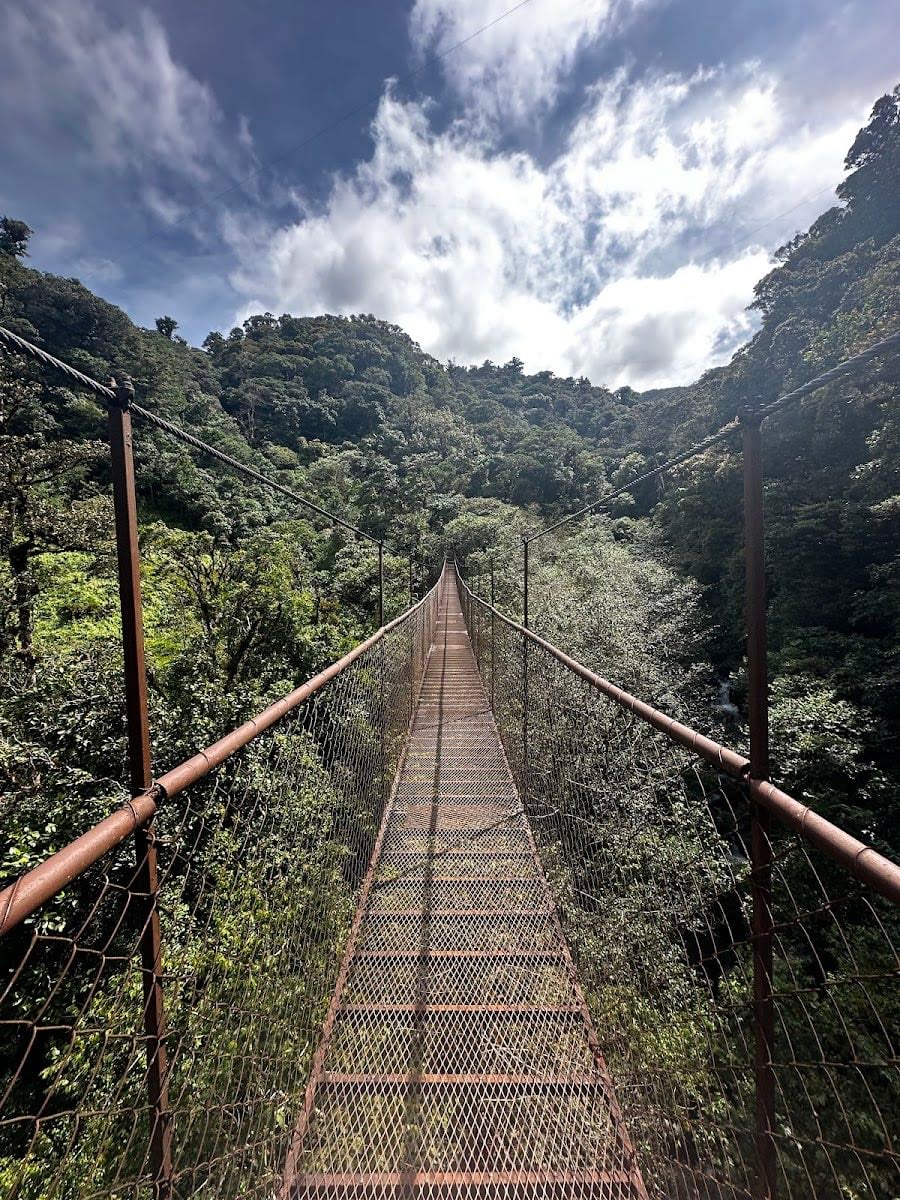 Boquete Tree Trek Adventure Park - ⛳ Actividades
• Canopy de 12 líneas sobre el bosque nuboso
• Caminata por puentes colgantes y miradores
• Observación de aves y fauna silvestre
Horario: Tours a las 8:00 a.m., 10:30 a.m. y 1:00 p.m.
Costo: $65 por persona