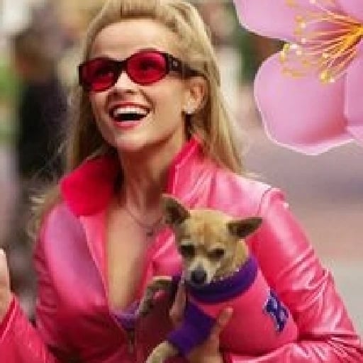 elle woods - legally blonde