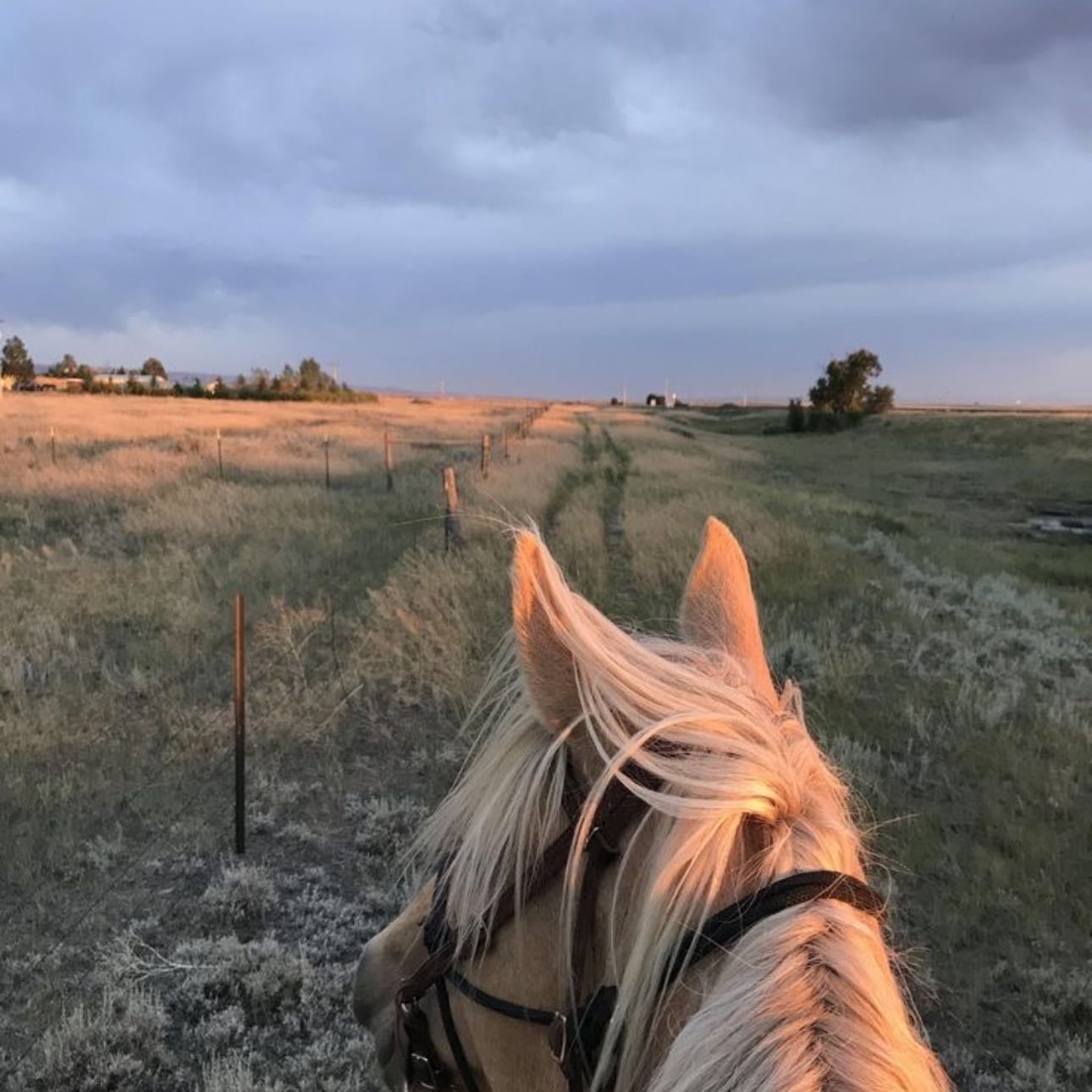Volver a montar a caballo