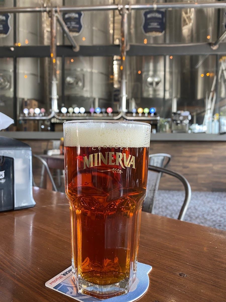 Minerva - Local craft beer