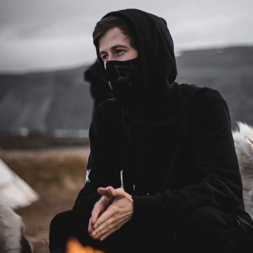 Alan Walker - Artist