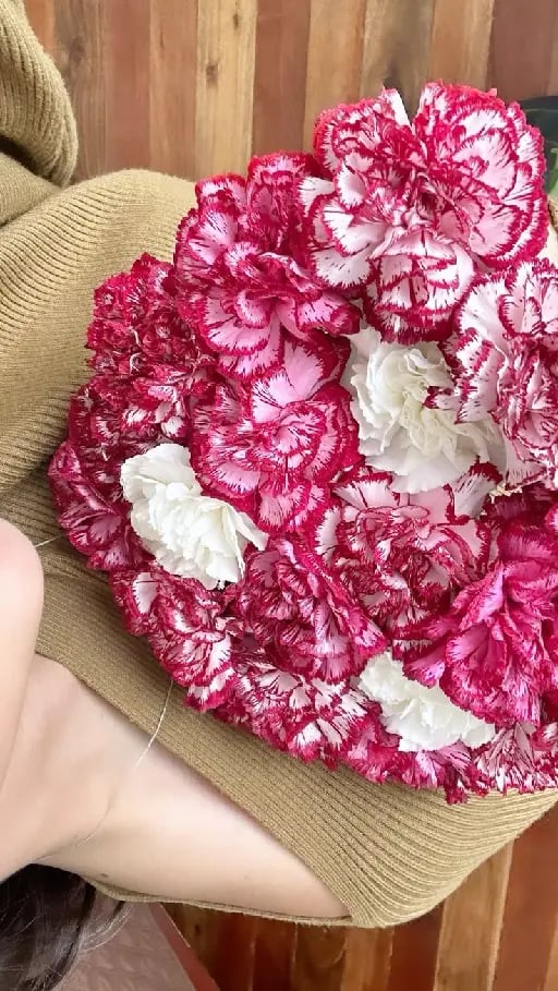 Claveles - Blanco: buena fortuna y amor puro. Rosa: admiración y cariño. Rojo: pasión, orgullo y deseo romántico. Naranja: entusiasmo y alegría. Amarillo: en el contexto moderno simbolizan alegría y amistad, pero tradicionalmente expresan rechazo o desinterés.