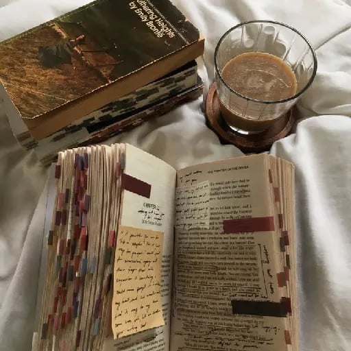 Leer un libro - Leer un libro a veces es una forma de entretenimiento más tradicional, podemos resaltar, dejar anotaciones u observaciones que nos pueden ayudar, además de darnos algún tipo de reflexión