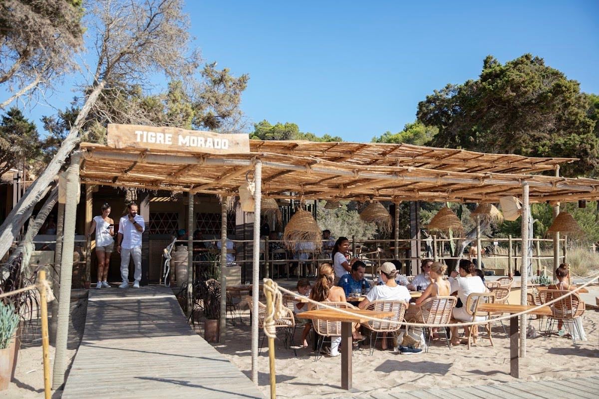 Tigre Morado Ibiza