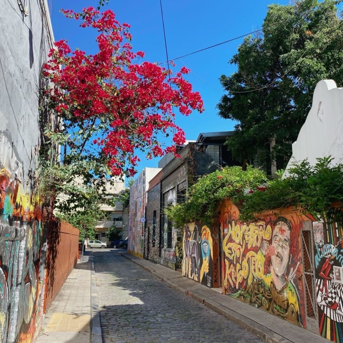 Palermo Soho