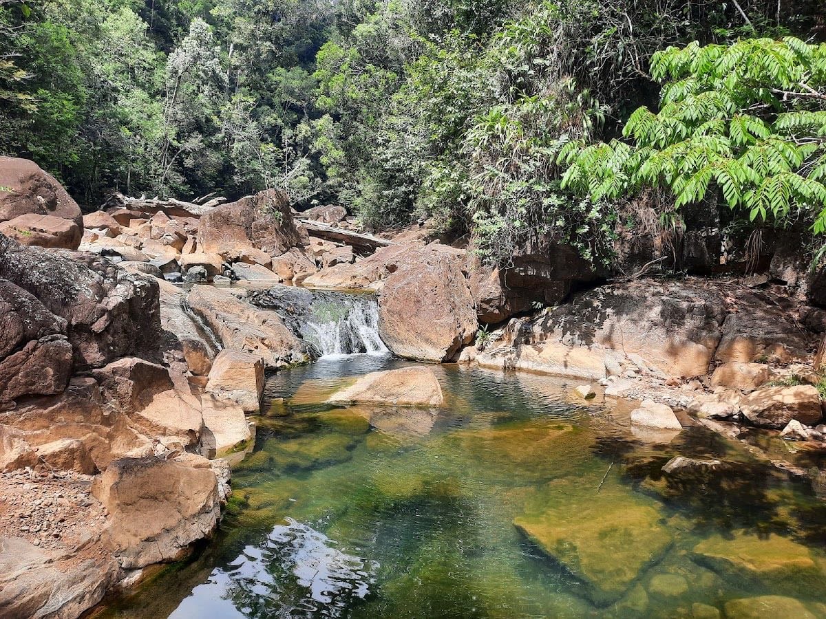 Cascada el Vigía - 📍 Cascada El Vigía – Altos de Cerro Azul, Panamá
• Sendero: Caminata corta con escaleras hasta una cascada y poza natural, en bosque de pinos.
• Horario: Acceso recomendado antes de las 3:00 p.m. (control en garita).
• Costo: Gratis, pero solo con invitación o acceso autorizado.