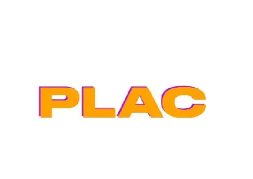 PLAC - Jeans re lindos y de buena calidad, tiene monto mínimo de compra. En lo personal me gustó que me den opciones al momento de seleccionar que correo elegir para el envío.
