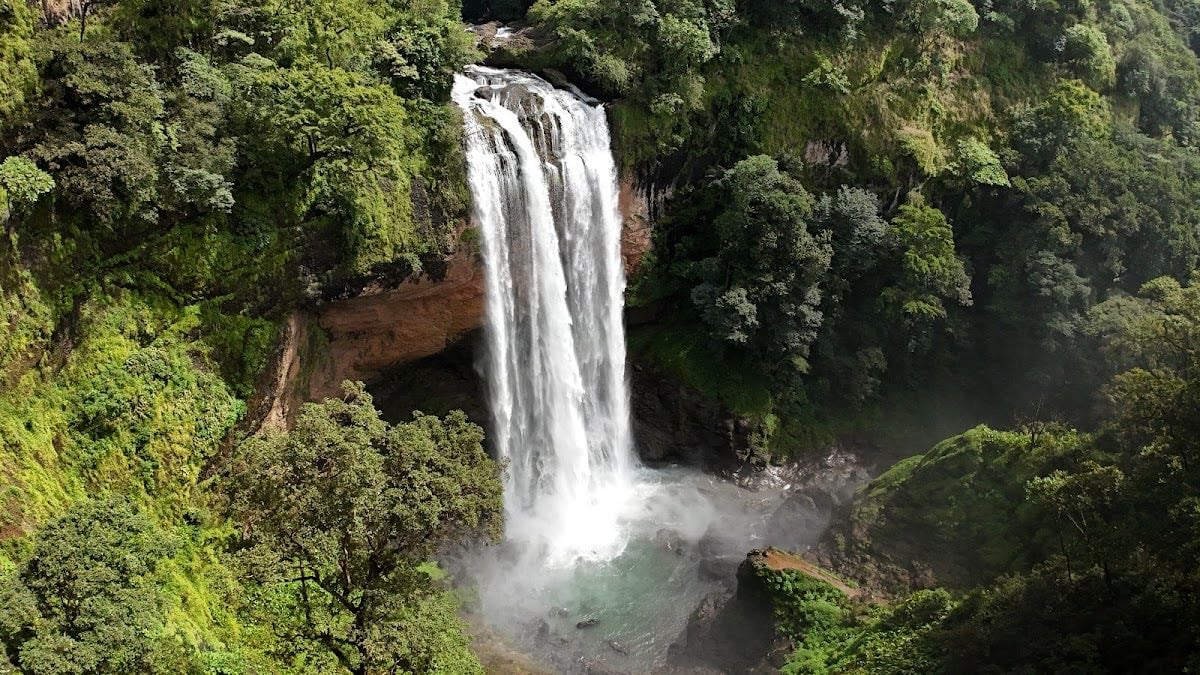 Bongo Outdoors Tours - Turismo en Chiriquí, Panamá - ⛳ Actividades
• Senderismo en la Cordillera de Chiriquí
• Kayak en los manglares de David
• Tour al Volcán Barú en 4×4
• Visita a cascadas como Kiki y Chochorí
Horario: Lunes a viernes, 8:00 a.m. – 5:00 p.m.
Costo: Desde $30 por persona, dependiendo del tour seleccionado