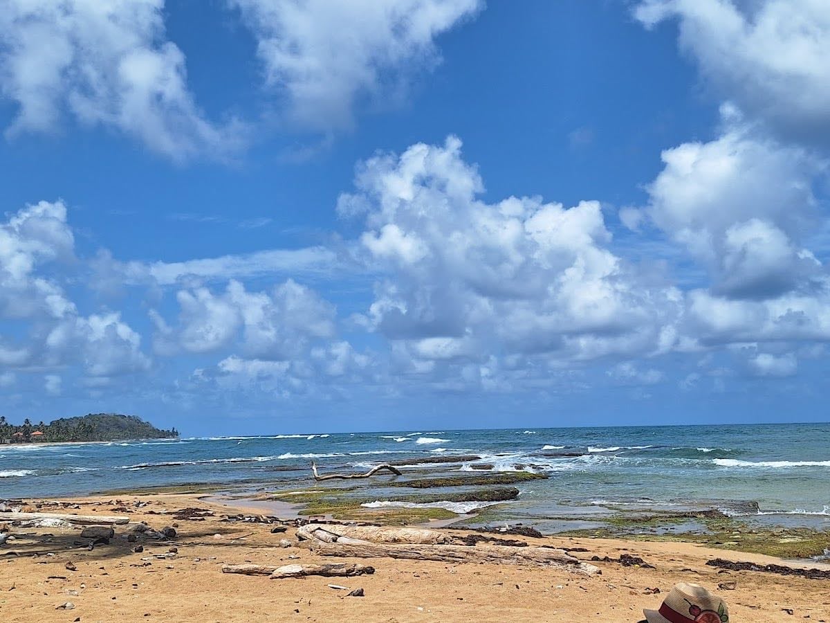 Playa Palenque - Tranquila, con un muelle de madera perfecto para fotos.