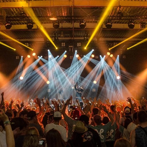 ir a un festival de música