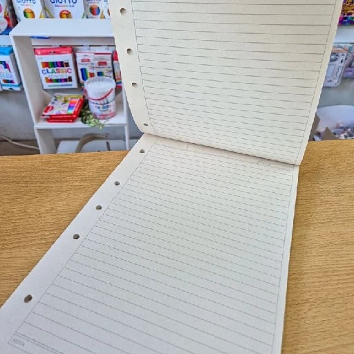 Block de hojas - Si no queremos depender de un cuaderno con una cantidad limitada de hojas podemos utilizar block de hojas y acomodarlos en alguna carpeta o folios.
