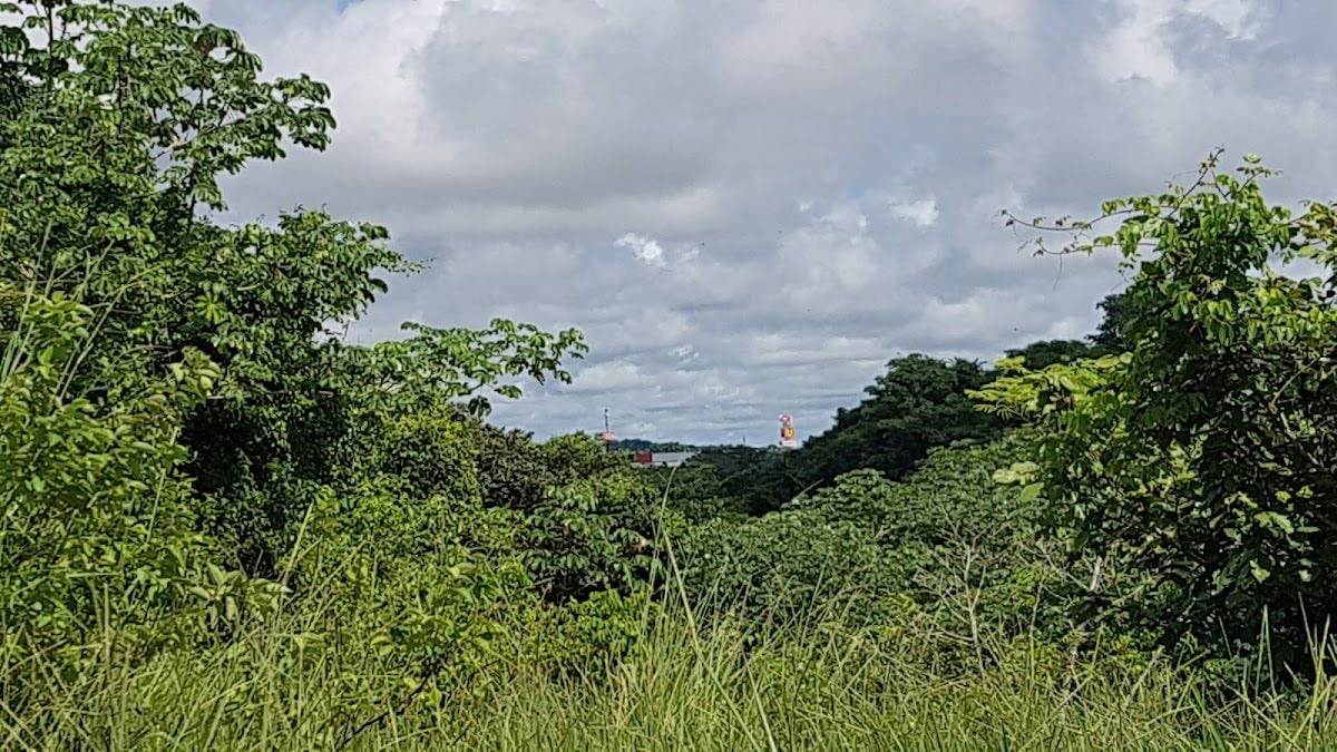 Sendero Costa Verde | La Chorrera - 📍 Sendero Costa Verde – La Chorrera, Panamá Oeste
• Sendero: Recorrido corto (~0.3–0.5 km), fácil, con mirador y áreas para picnic.
• Horario: Abierto todos los días; entrada cierra cerca de las 4:00 p.m.
• Costo: Gratis.