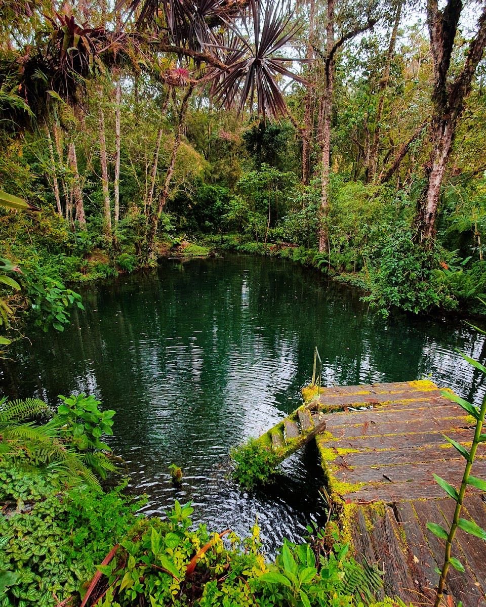Finca Dracula - ⛳ Actividades
• Recorrido por jardines botánicos (orquídeas, bromelias, suculentas, jardín japonés…)
• Sendero “Vuelo del Quetzal” con mirador sobre Guadalupe
• Audioguía en español e inglés y cafetería (bebidas y snacks)
Horario: Lunes a domingo, 9:00 a.m. – 3:00 p.m.
Costo: Adultos $25 • Estudiantes $14 • Niños $12 (2–12 años)