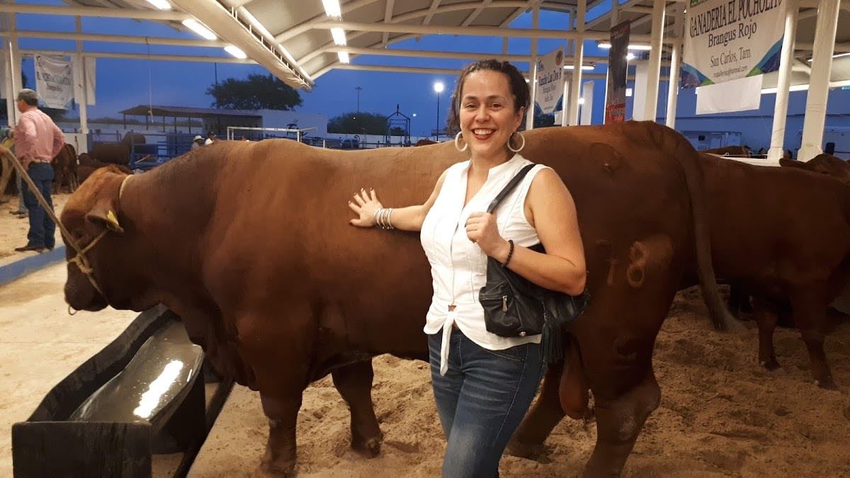 Lienzo Charro Tam