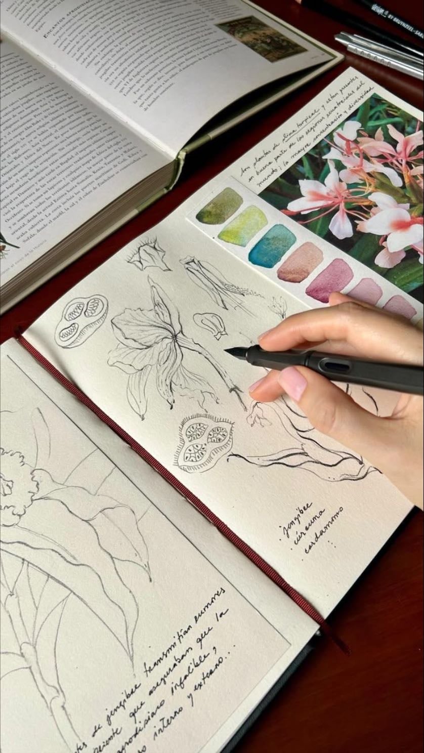 dibujar