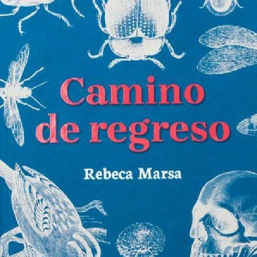Camino de regreso - Rebeca Marsa • 2025