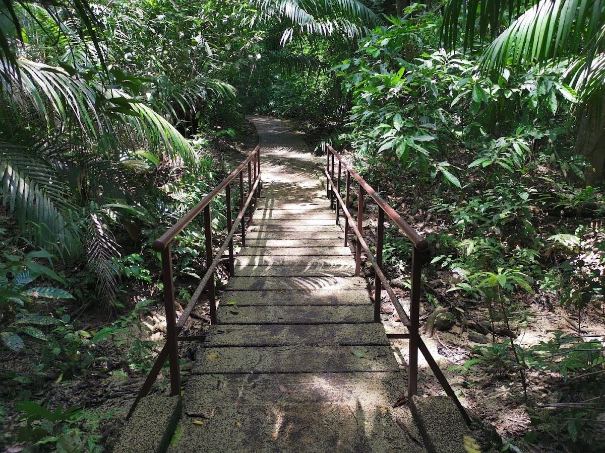 Sendero del Charco, Panama - 📍 Carretera hacia Gamboa – Parque Soberanía (Sendero El Charco)
• Sendero: Corto, con río y zona de baño natural
• Horario: Lunes a domingo: 8:00 a.m. – 4:00 p.m.
• Costo: Adultos $3.00 | Niños/Jubilados $1.00